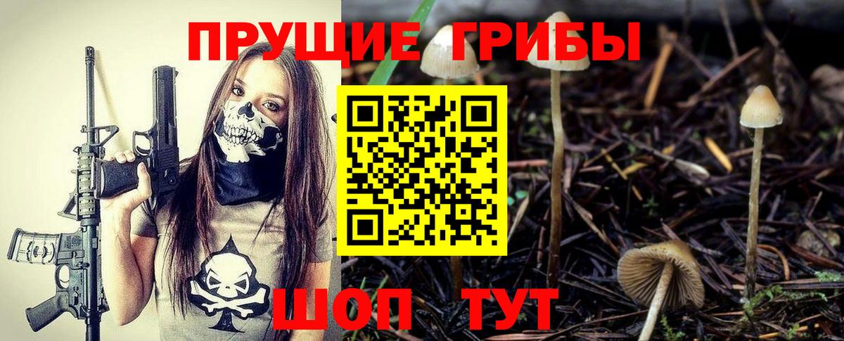 Галлюциногенные грибы Magic Shrooms  Вход с VPN  Якутск 
